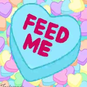 Meet your Posher, Sami